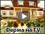 ТВ о Ферме в Потапово